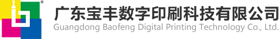 广东宝丰数字印刷科技有限公司